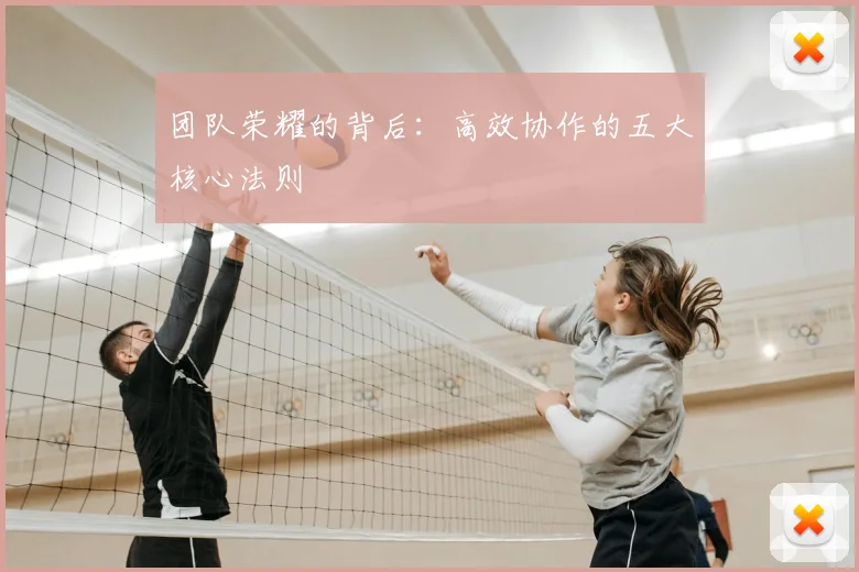 团队荣耀的背后:高效协作的五大核心法则