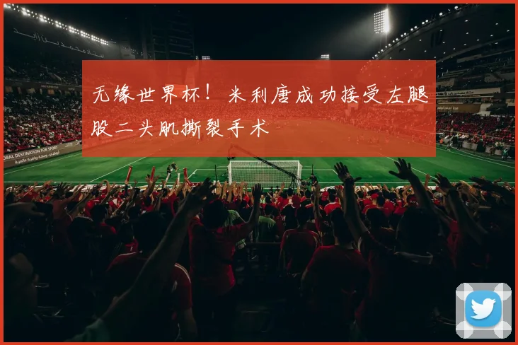 无缘世界杯!米利唐成功接受左腿股二头肌撕裂手术