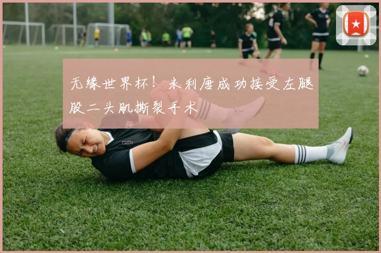 无缘世界杯!米利唐成功接受左腿股二头肌撕裂手术