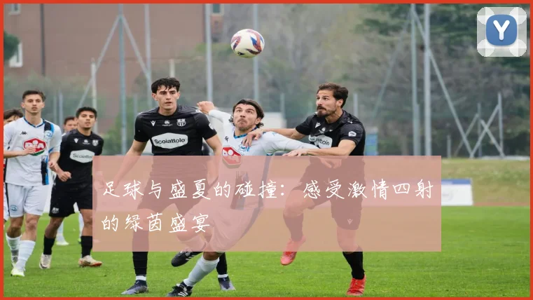 足球与盛夏的碰撞:感受激情四射的绿茵盛宴